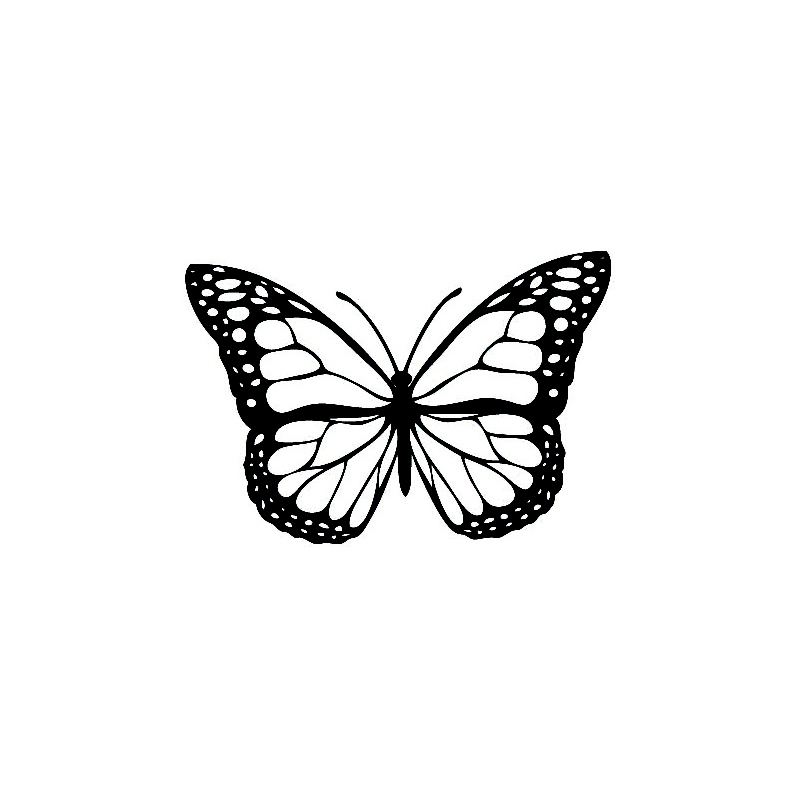 Polo-permanentní dočasné tetování - motýl